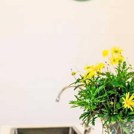 Mit Rustikalem Charme In By Interhome Prázdninový dům Afife